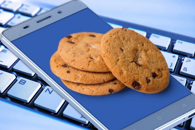 des cookies dans un smartphone