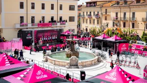 Barnum professionnel roses